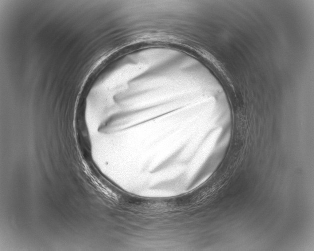 X0000052950791200508050921