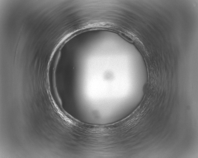 X0000052950792200508050921