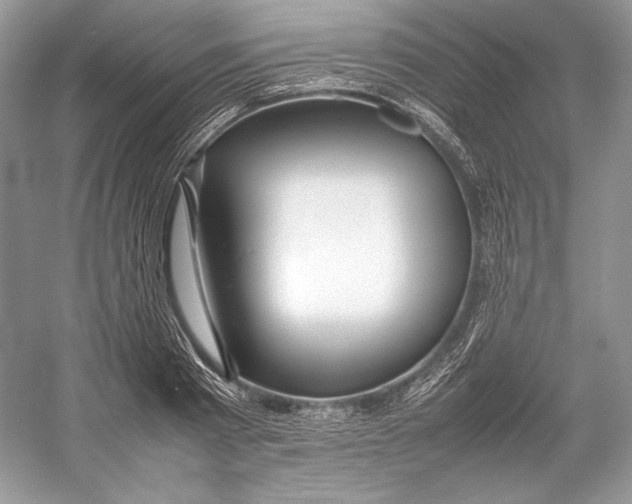 X0000052950793200508050921