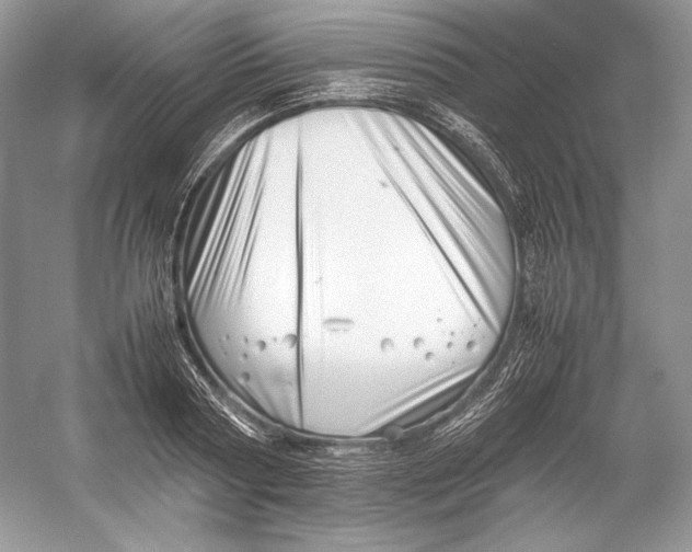 X0000052950794200508050921