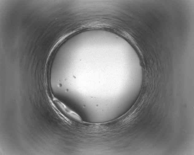 X0000052950795200508050921