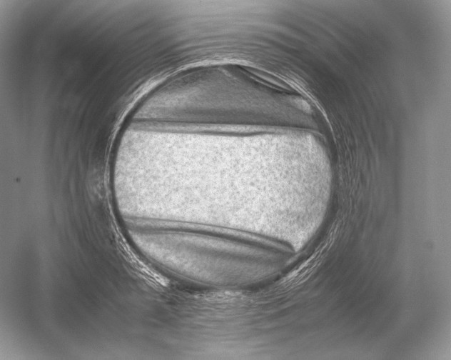 X0000052950797200508050921