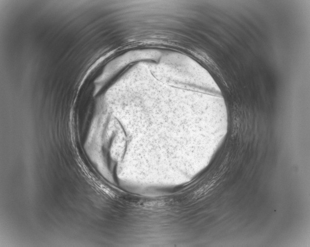 X0000052950798200508050921