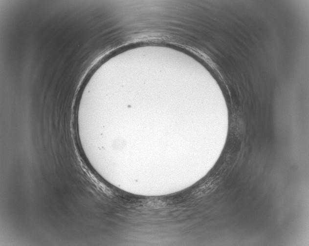 X0000052950799200508050920