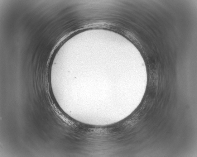 X0000052950800200508050920