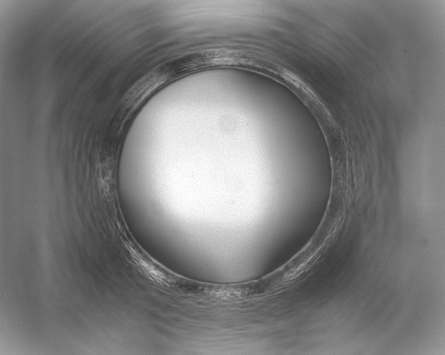 X0000052950801200508050920