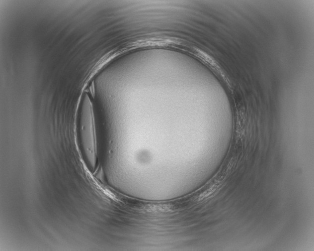 X0000052950802200508050920