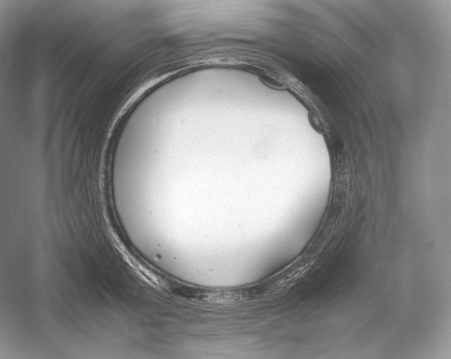 X0000052950803200508050920