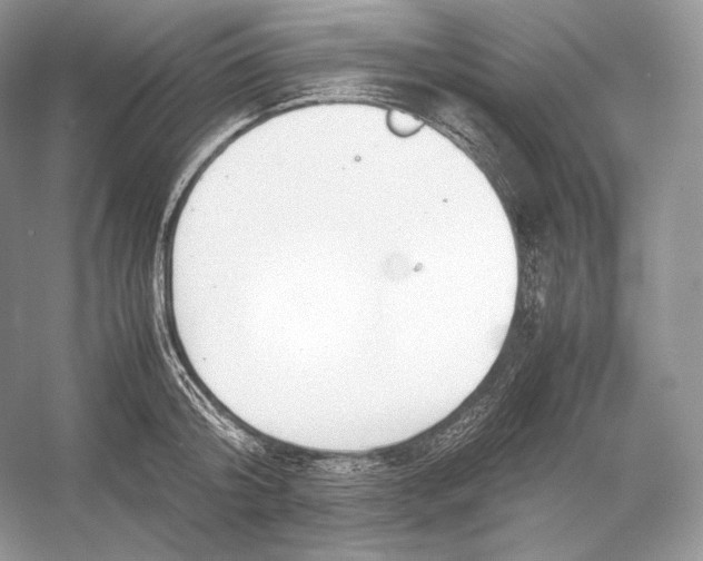 X0000052950804200508050920