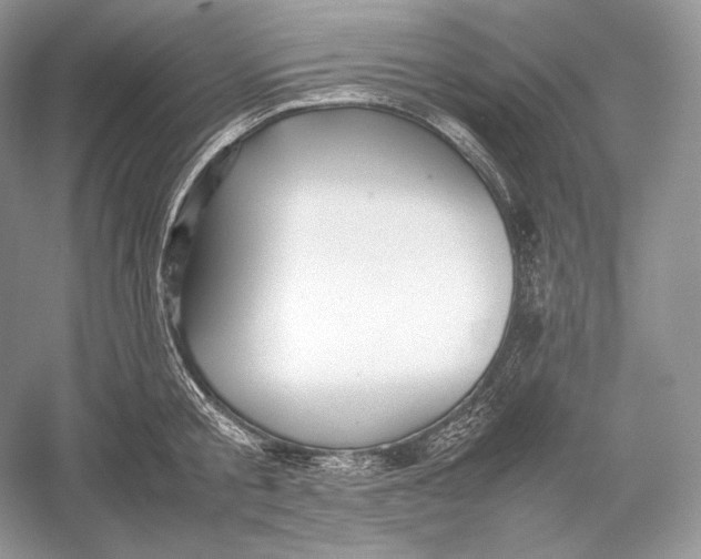 X0000052950805200508050920