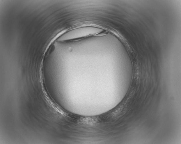 X0000052950806200508050920