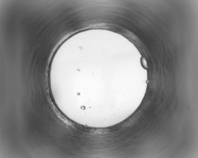 X0000052950808200508050920