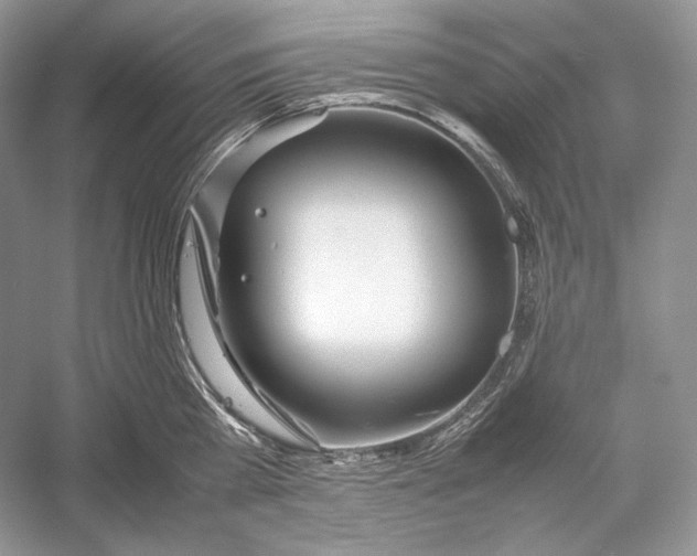 X0000052950809200508050920