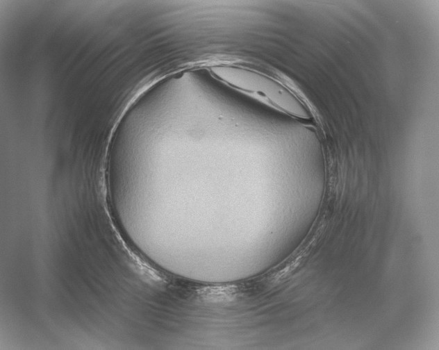 X0000052950810200508050920