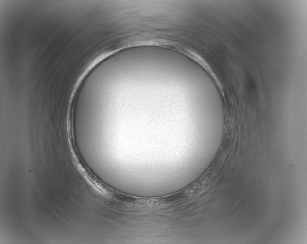 X0000052950811200508050920