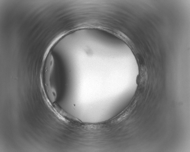 X0000052950812200508050920