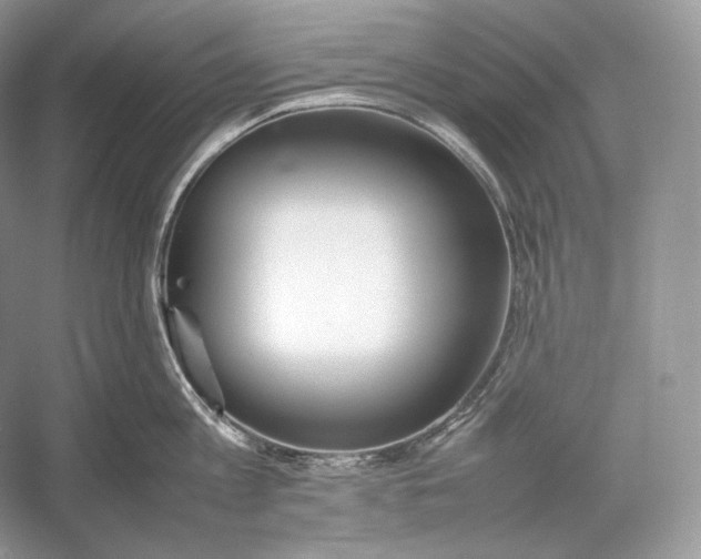 X0000052950813200508050920