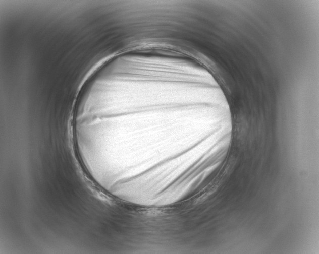 X0000052950814200508050920