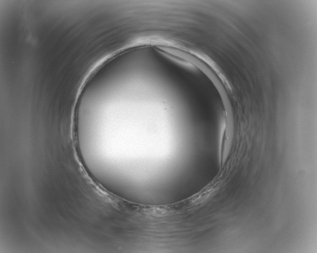 X0000052950815200508050920