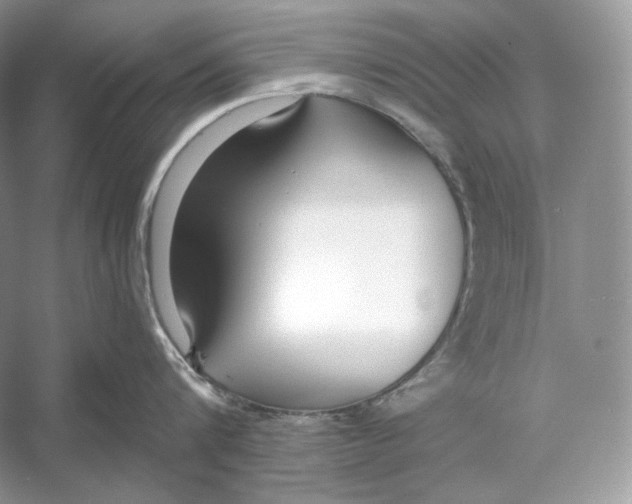 X0000052950816200508050920