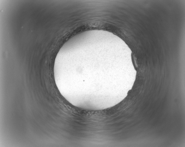 X0000052950817200508050919