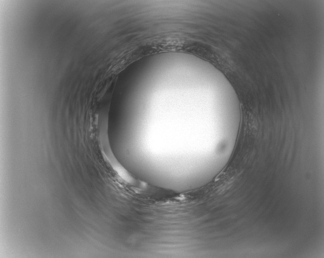 X0000052950818200508050919