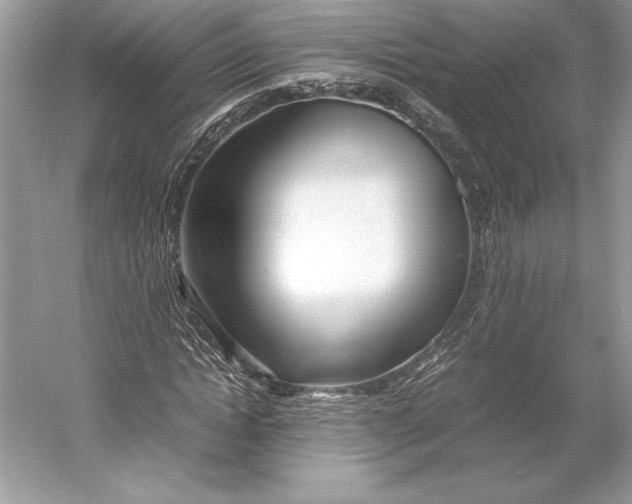 X0000052950822200508050919