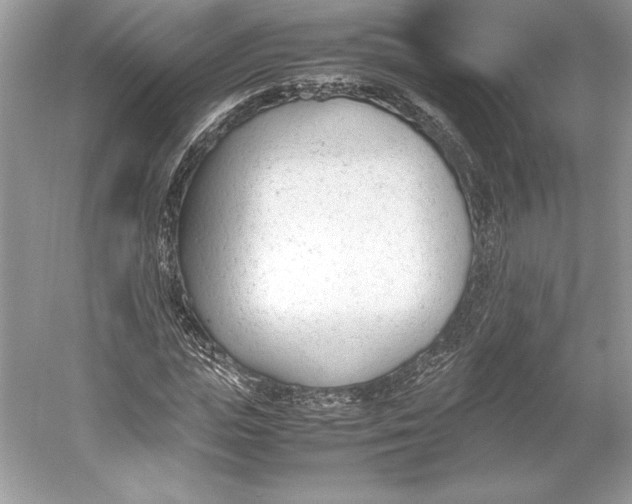 X0000052950823200508050919