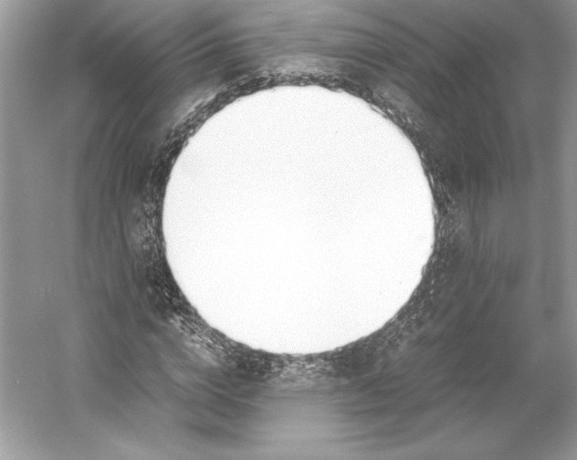 X0000052950824200508050919