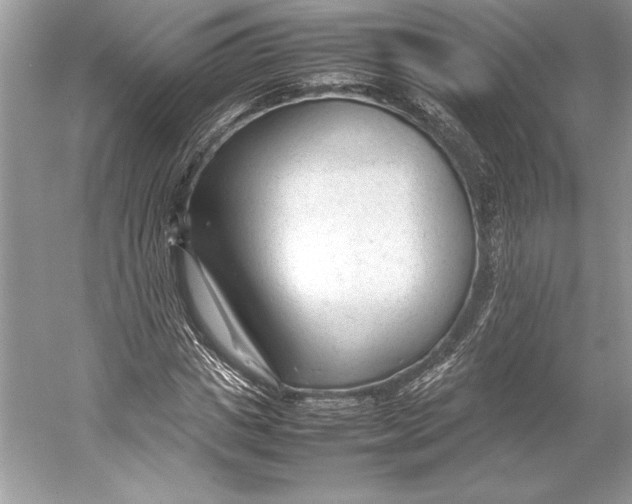 X0000052950825200508050920