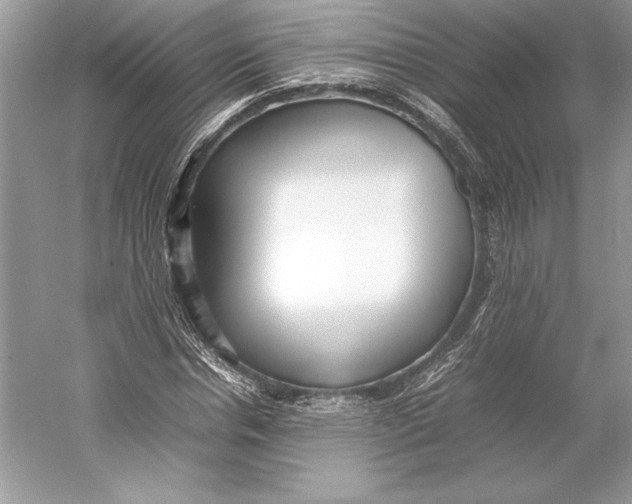 X0000052950826200508050920