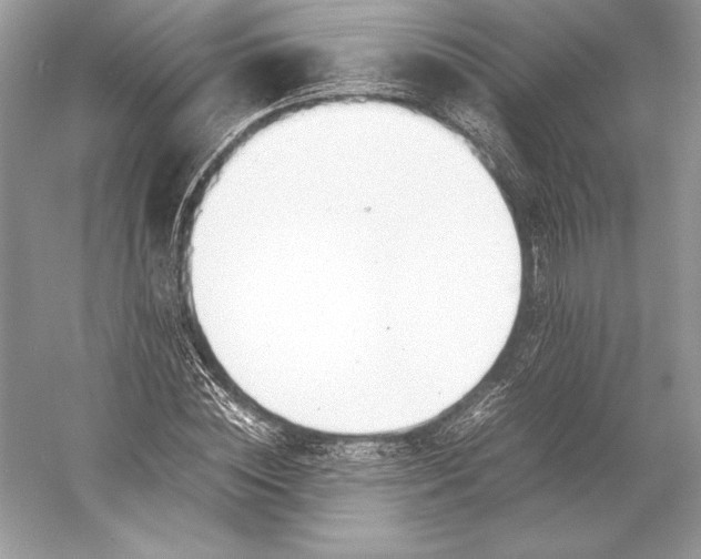 X0000052950828200508050920