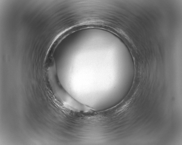 X0000052950830200508050920