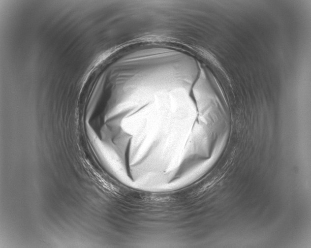 X0000052950831200508050920