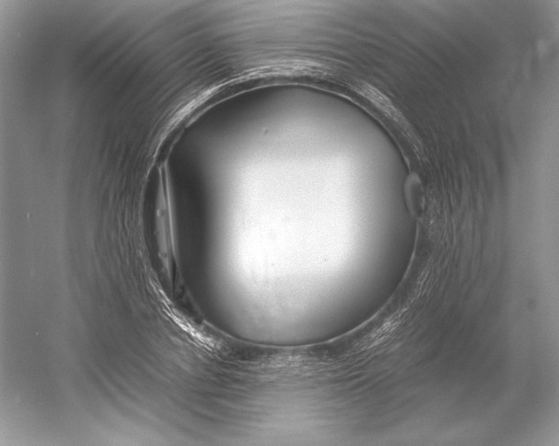 X0000052950834200508050920