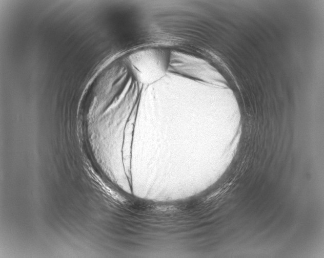 X0000052950835200508050920