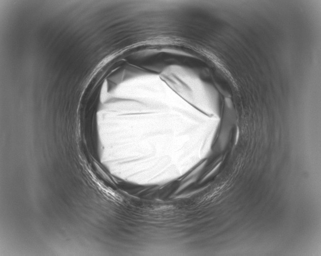 X0000052950837200508050920