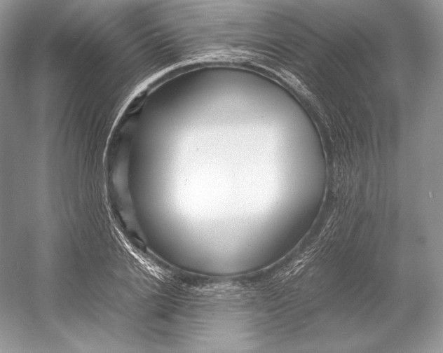 X0000052950838200508050920