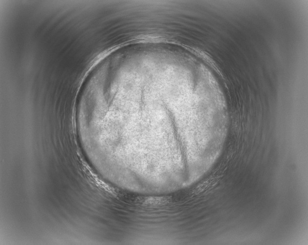 X0000052950839200508050920