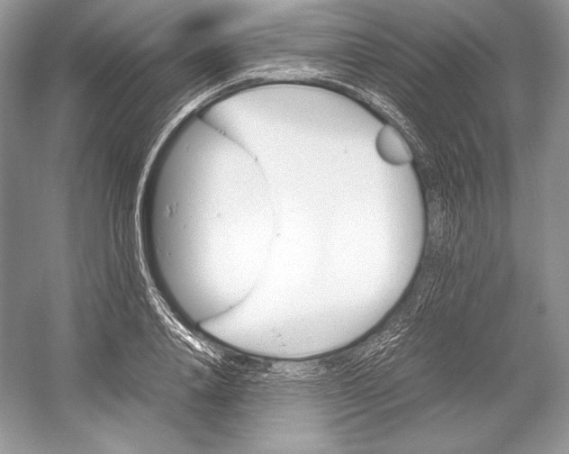 X0000052950840200508050920