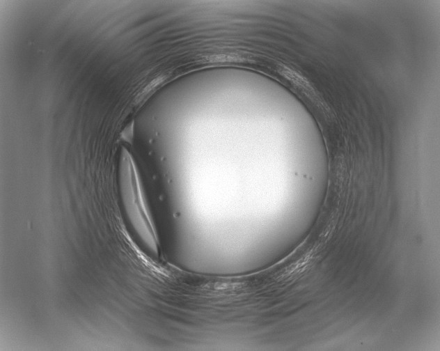 X0000052950841200508050920