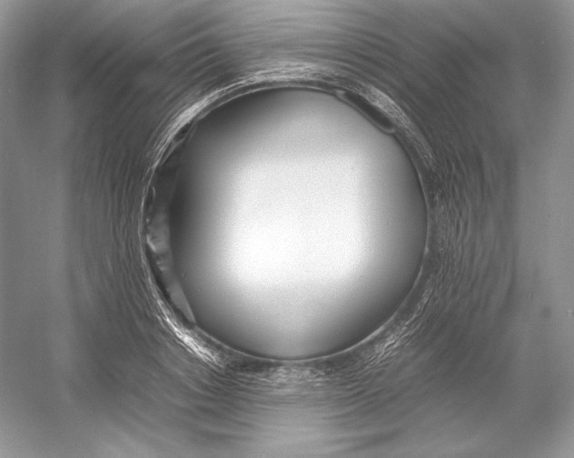 X0000052950842200508050920