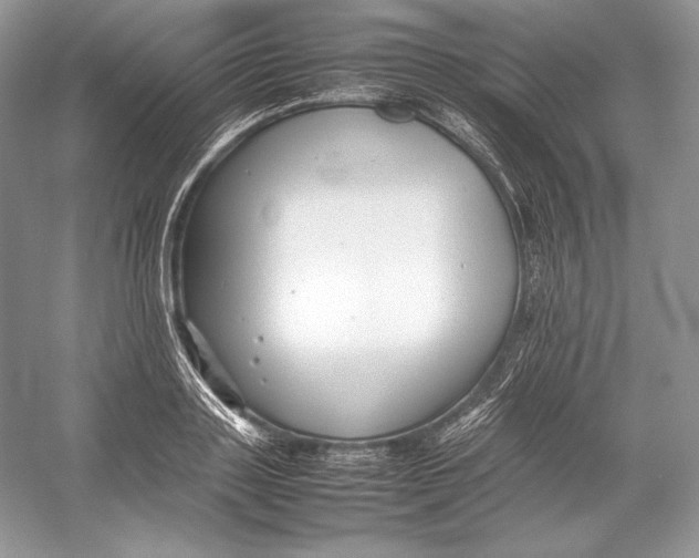 X0000052950843200508050920