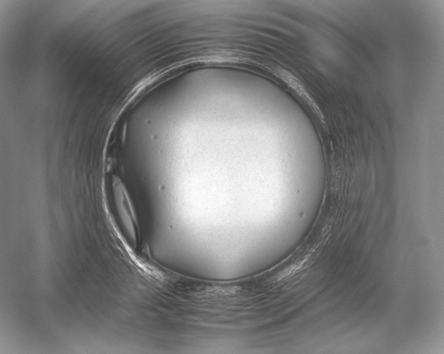 X0000052950845200508050920