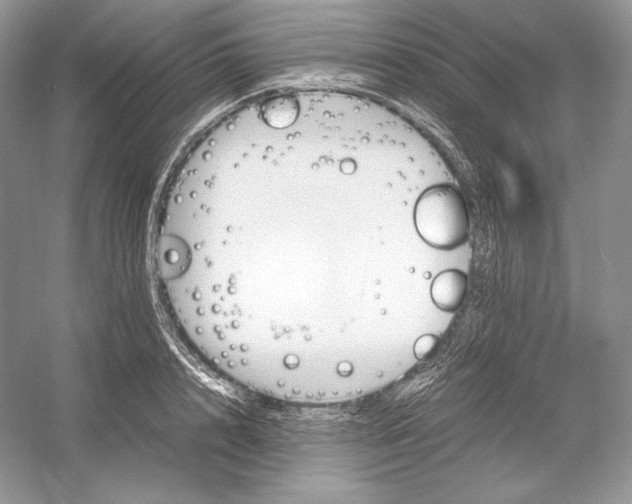 X0000052950848200508050920