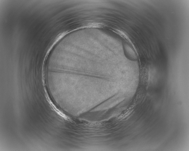 X0000052950851200508050920