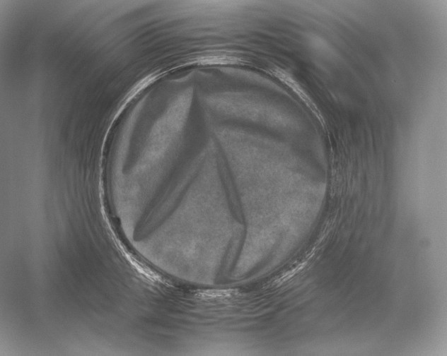 X0000052950853200508050920