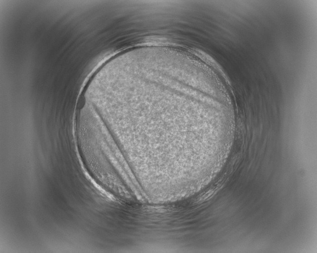 X0000052950855200508050920