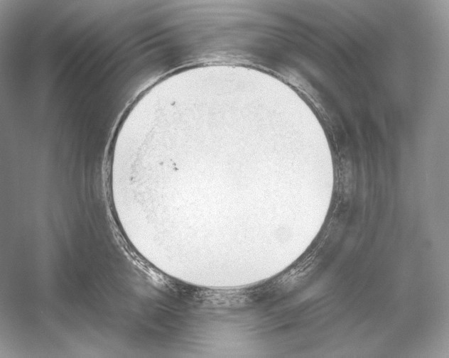 X0000052950856200508050920