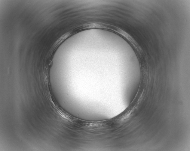 X0000052950857200508050920